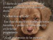 este pobre perrito
